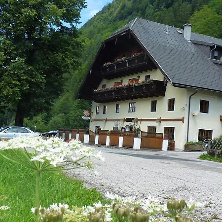 Gasthof Steinbraeu Faistenau Bagian luar foto